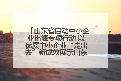 山东省启动中小企业出海专项行动 以优质中小企业“走出去”新成效展示山东产业发展新形象