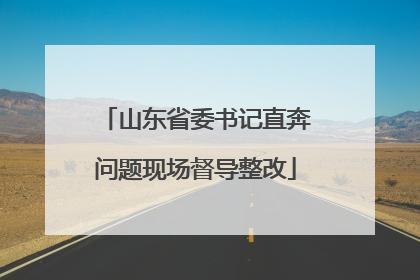 山东省委书记直奔问题现场督导整改