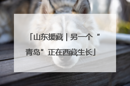 山东援藏｜另一个“青岛”正在西藏生长