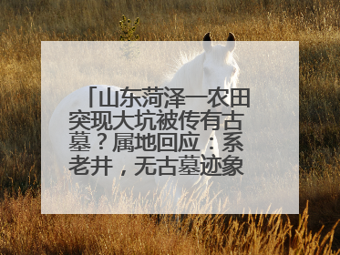 山东菏泽一农田突现大坑被传有古墓？属地回应：系老井，无古墓迹象，已回填