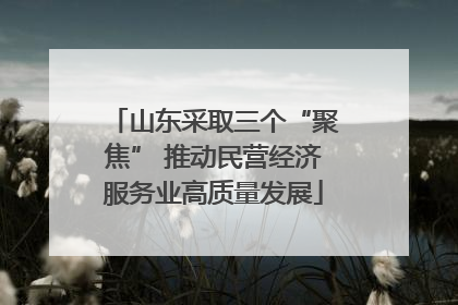 山东采取三个“聚焦” 推动民营经济服务业高质量发展