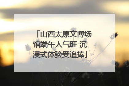 山西太原文博场馆端午人气旺 沉浸式体验受追捧