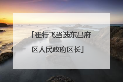 崔行飞当选东昌府区人民政府区长