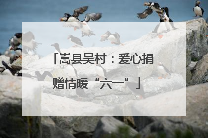嵩县吴村：爱心捐赠情暖“六一”