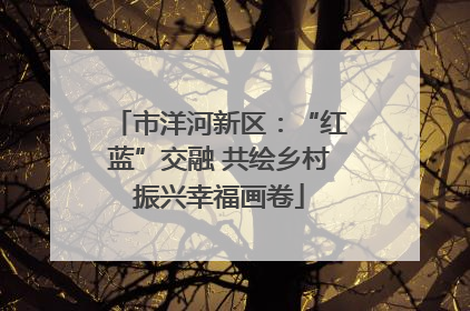 市洋河新区：“红蓝”交融 共绘乡村振兴幸福画卷