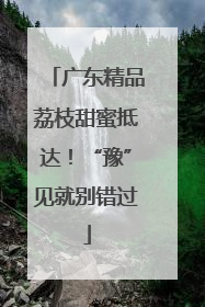 广东精品荔枝甜蜜抵达！“豫”见就别错过