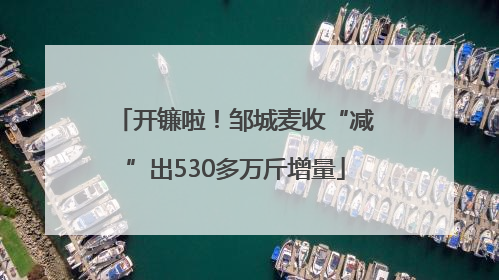 开镰啦！邹城麦收“减”出530多万斤增量