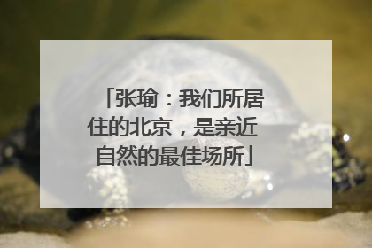 张瑜：我们所居住的北京，是亲近自然的最佳场所