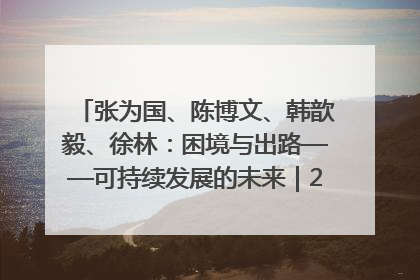 张为国、陈博文、韩歆毅、徐林：困境与出路——可持续发展的未来｜2025IFCII
