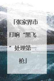 张家界市打响“黑飞”处理第一枪