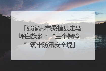 张家界市桑植县走马坪白族乡：“三个保障”筑牢防汛安全堤