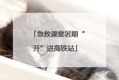 急救课堂暑期“开”进高铁站