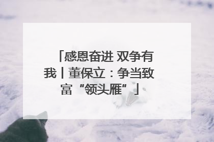 感恩奋进 双争有我丨董保立：争当致富“领头雁”