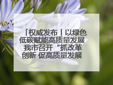 权威发布丨以绿色低碳赋能高质量发展 我市召开“抓改革创新 促高质量发展”主题系列新闻发布会第七场