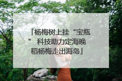 杨梅树上挂“宝瓶” 科技助力定海晚稻杨梅走出海岛