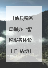 攸县税务局举办“智税服务体验日”活动