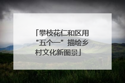 攀枝花仁和区用“五个一”描绘乡村文化新图景
