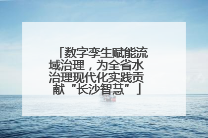 数字孪生赋能流域治理，为全省水治理现代化实践贡献“长沙智慧”