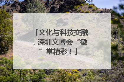 文化与科技交融，深圳文博会“徽”常精彩！