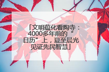 文明蕴化看陶寺：4000多年前的“日历”上，夏至晨光见证先民智慧