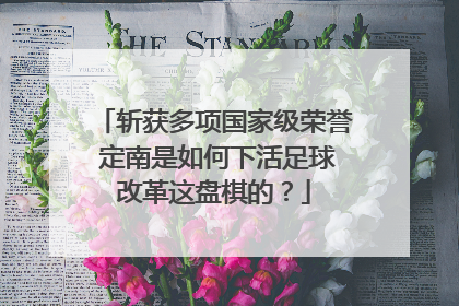 斩获多项国家级荣誉 定南是如何下活足球改革这盘棋的？