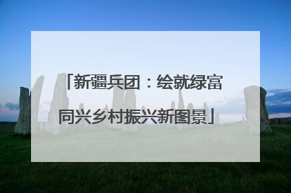 新疆兵团：绘就绿富同兴乡村振兴新图景