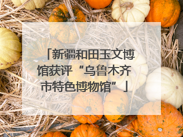 新疆和田玉文博馆获评“乌鲁木齐市特色博物馆”