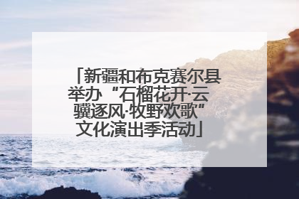 新疆和布克赛尔县举办“石榴花开·云骥逐风·牧野欢歌”文化演出季活动