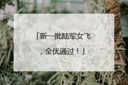 新一批陆军女飞，全优通过！