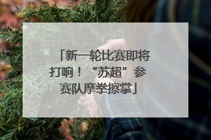 新一轮比赛即将打响！“苏超”参赛队摩拳擦掌