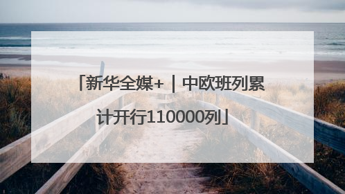 新华全媒+｜中欧班列累计开行110000列