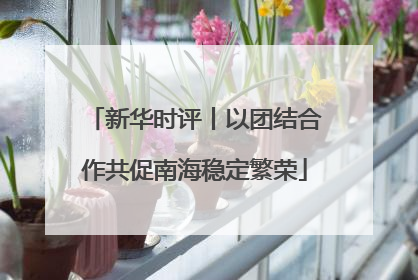 新华时评丨以团结合作共促南海稳定繁荣