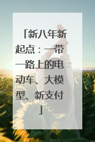 新八年新起点：一带一路上的电动车、大模型、新支付