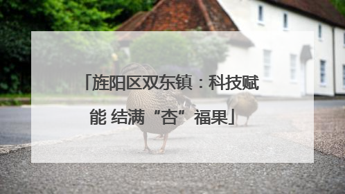 旌阳区双东镇：科技赋能 结满“杏”福果