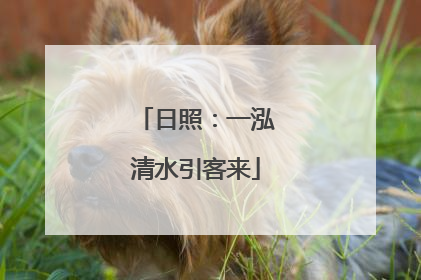 日照：一泓清水引客来