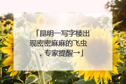 昆明一写字楼出现密密麻麻的飞虫，专家提醒→