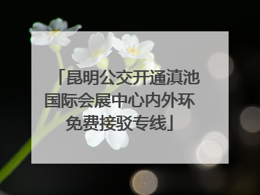 昆明公交开通滇池国际会展中心内外环免费接驳专线