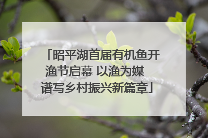 昭平湖首届有机鱼开渔节启幕 以渔为媒 谱写乡村振兴新篇章