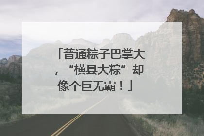 普通粽子巴掌大，“横县大粽”却像个巨无霸！