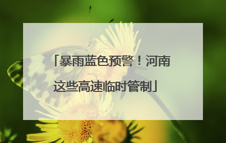 暴雨蓝色预警！河南这些高速临时管制