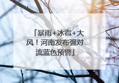 暴雨+冰雹+大风！河南发布强对流蓝色预警