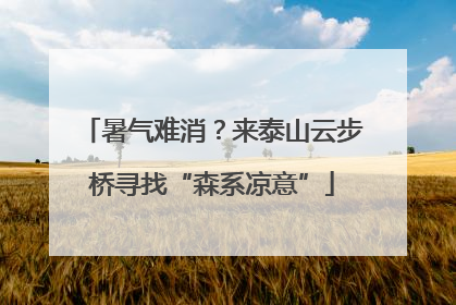 暑气难消？来泰山云步桥寻找“森系凉意”