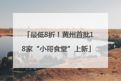最低8折！黄州首批18家“小哥食堂”上新