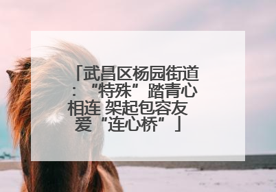 武昌区杨园街道：“特殊”踏青心相连 架起包容友爱“连心桥”