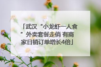 武汉“小龙虾一人食”外卖套餐走俏 有商家日销订单增长4倍