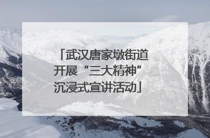 武汉唐家墩街道开展“三大精神”沉浸式宣讲活动