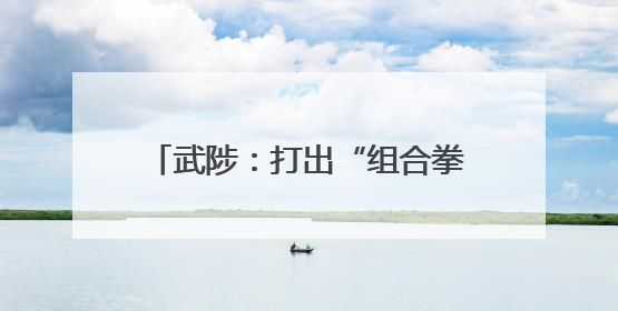 武陟：打出“组合拳” 冲刺“双过半”