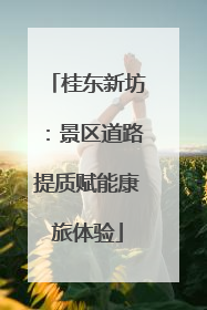 桂东新坊：景区道路提质赋能康旅体验