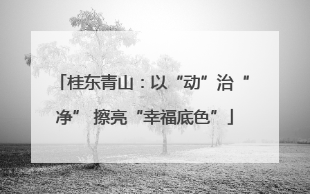 桂东青山：以“动”治“净” 擦亮“幸福底色”