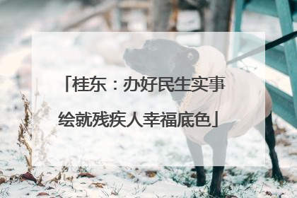 桂东：办好民生实事 绘就残疾人幸福底色